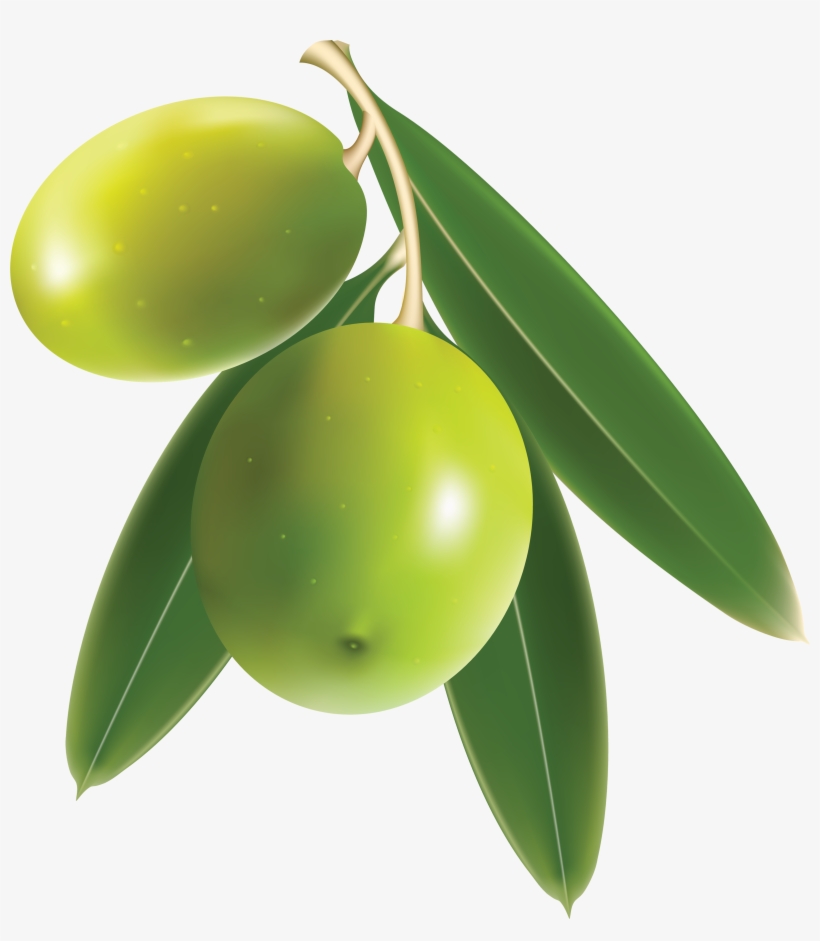 Olive Png, transparent png download