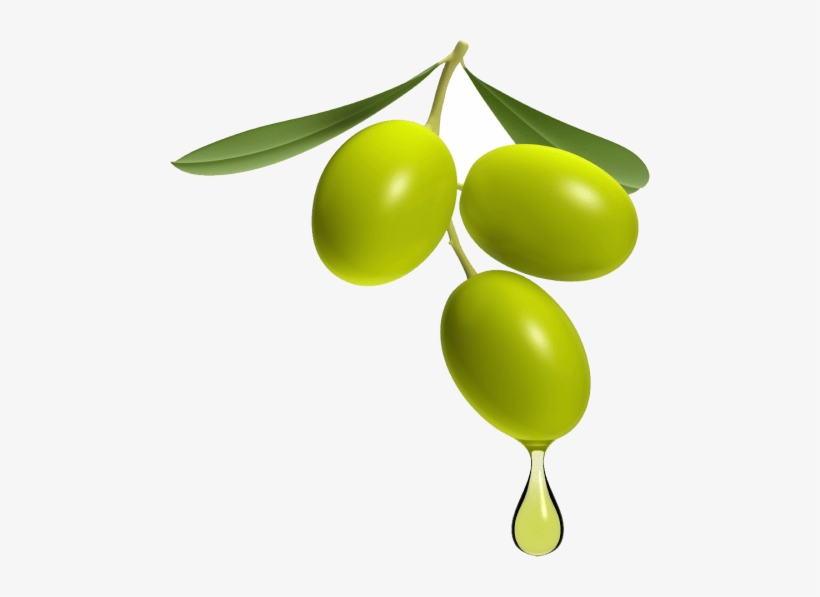 Free Png Olive Image Png Images Transparent - Olive Png Transparent, transparent png download