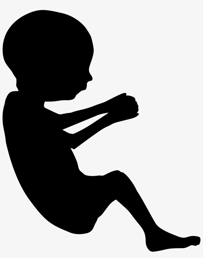 This Free Icons Png Design Of Fetus Silhouette Minus, transparent png download