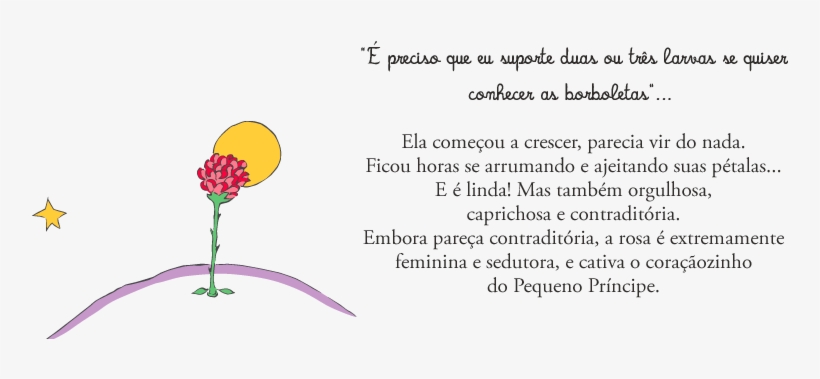 Walls 360 Peel & Stick Wall Decal: La Rose Du Petit, transparent png download