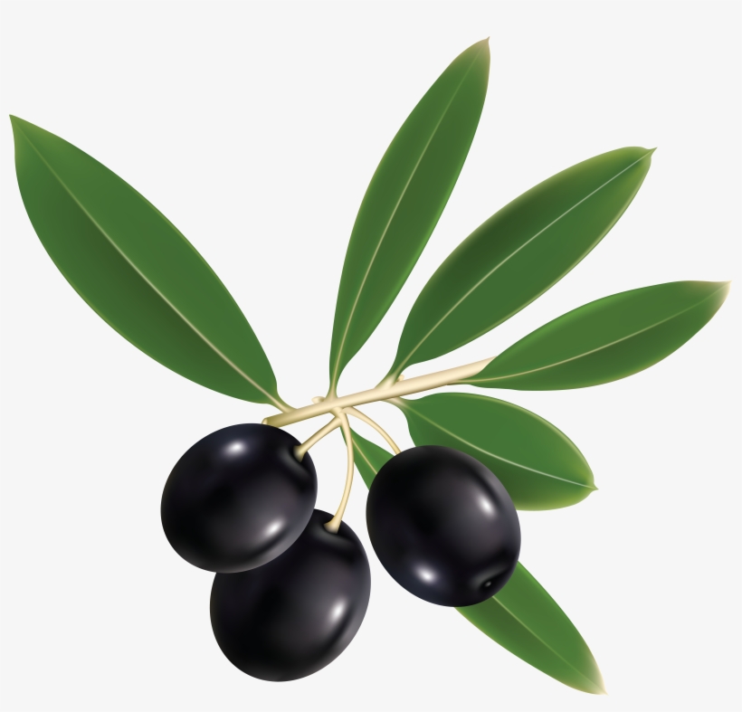 Olive Oil Labels, transparent png download