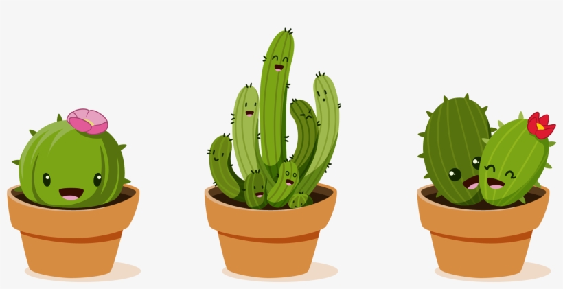 Cactaceae Drawing Clip Art - Cactus Vector, transparent png download