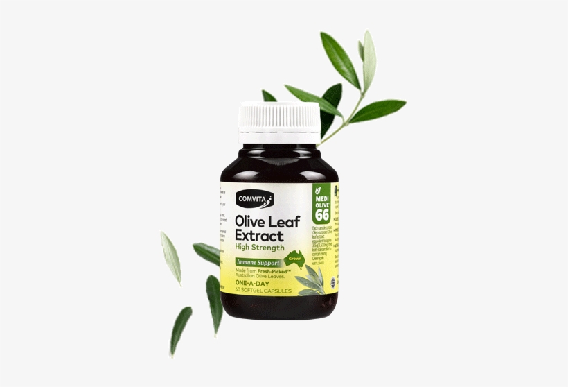 Shop Olive Leaf Extract High Strength Capsules 60s - Comvita Olive Leaf Extract 60 Capsules, transparent png download