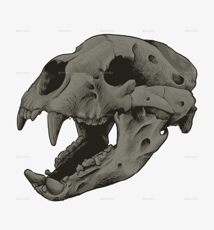 Bear Skull Bear Skull - Giant Short Faced Bear Skull, transparent png download