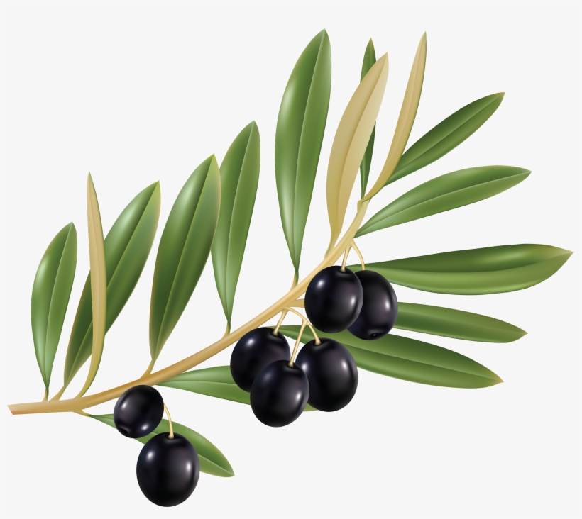 Olive Png, transparent png download