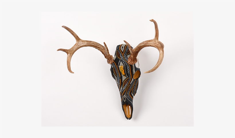 Yellowstone Whitetail Deer Animal Skull - Antelope, transparent png download