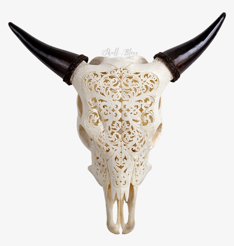 Choose From Over 75 Different Carved Animal Skull Designs - Cattle, transparent png download