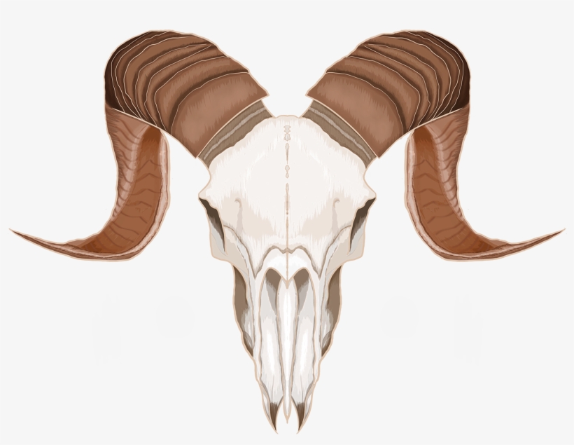 Behance, transparent png download