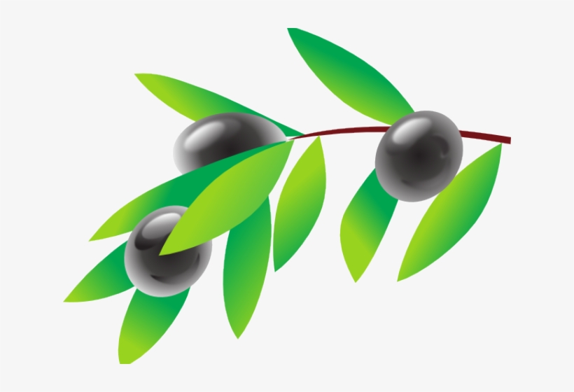 Olive Clipart, transparent png download