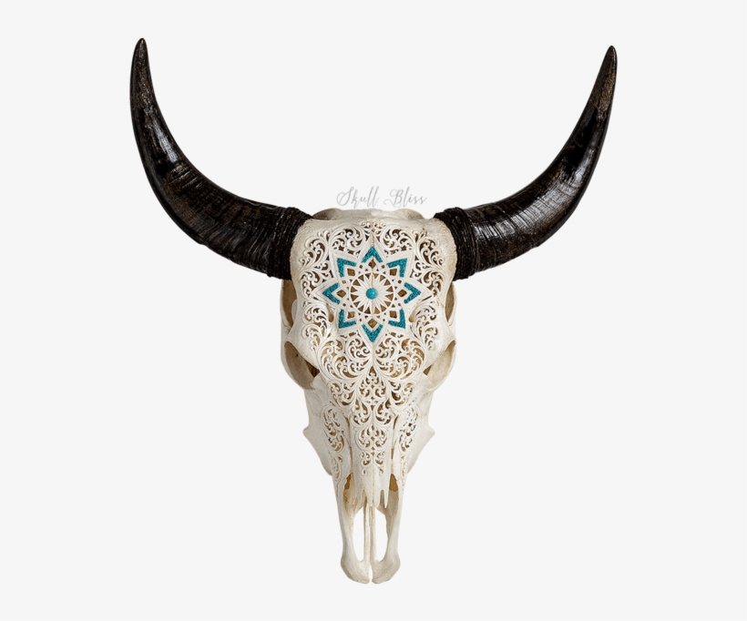 Carved Cow Skull // Xl Horns - Skull, transparent png download