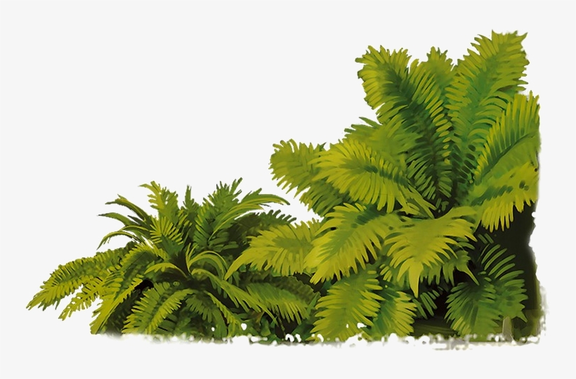 Compsognathus - Jungle, transparent png download