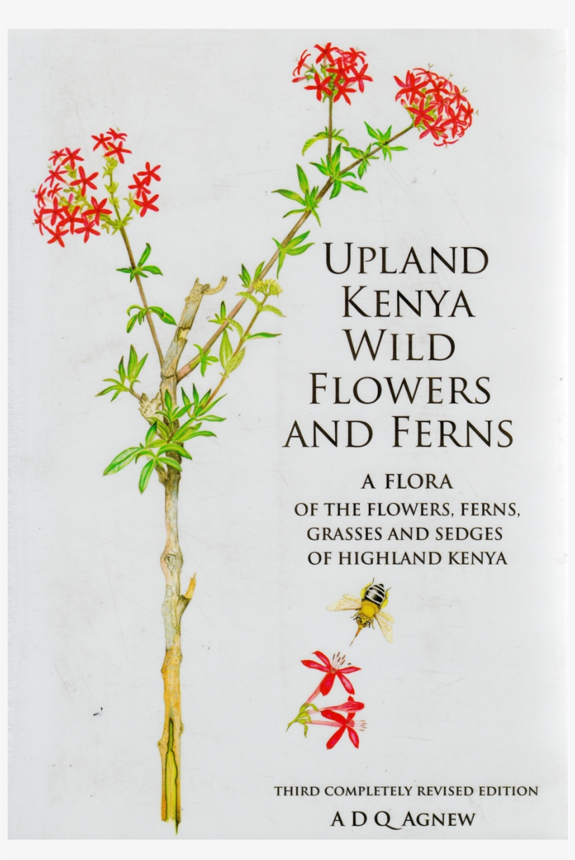 Upland Kenya Wild Flowers And Ferns - Upland, transparent png download