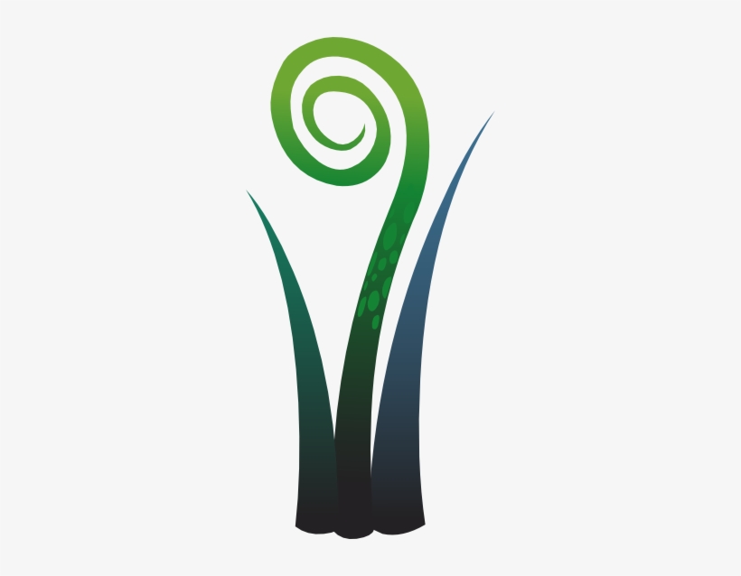 This Free Clipart Png Design Of Ilmenskie Plany Fern, transparent png download