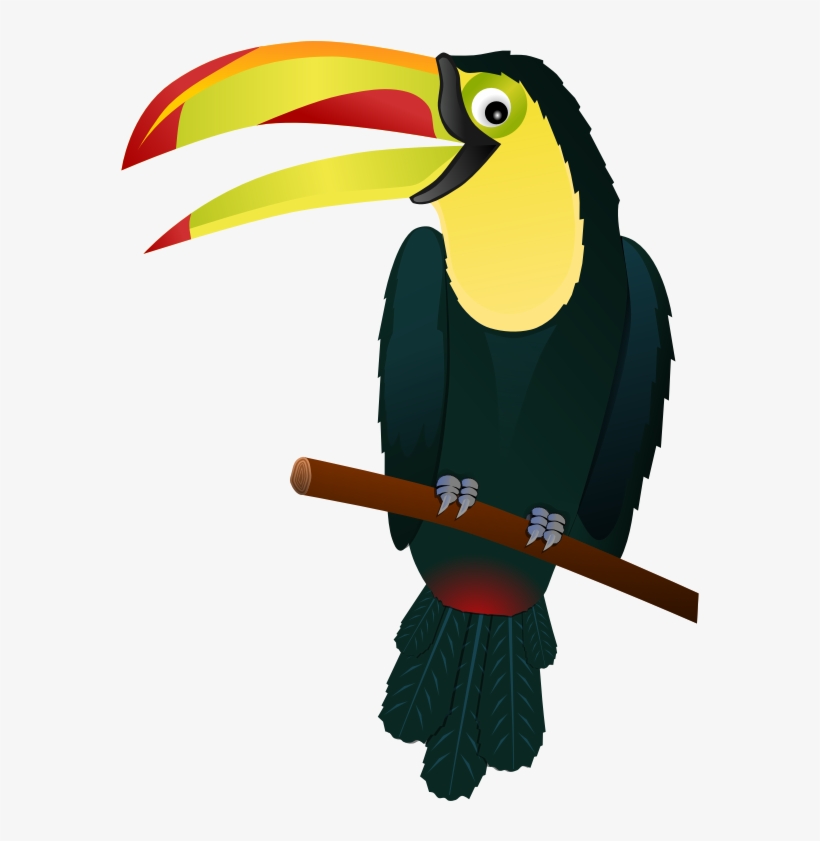 Tropical Plants Plants Clipart Flowers Png Image And - Toucan Vector Png, transparent png download