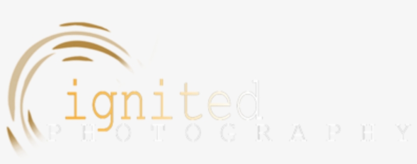 Color Medium Logo On Transparent, transparent png download