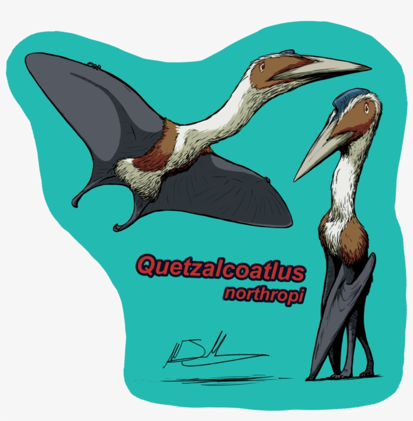 Cyrus Mccallum Quetzalcoatlus Northropi Dinosaurios - Quetzalcoatlus, transparent png download