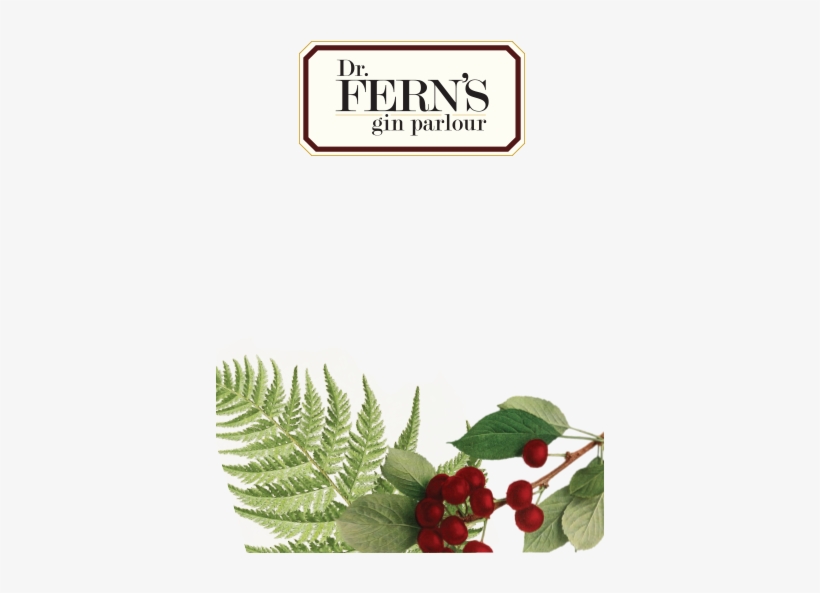 Fern's Is A Cool Speakeasy Gin Parlour Showcasing Premium - Fern, transparent png download