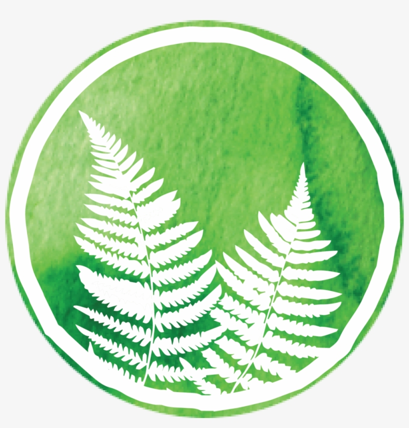 Healingfern Icon Transbg - Jpeg, transparent png download