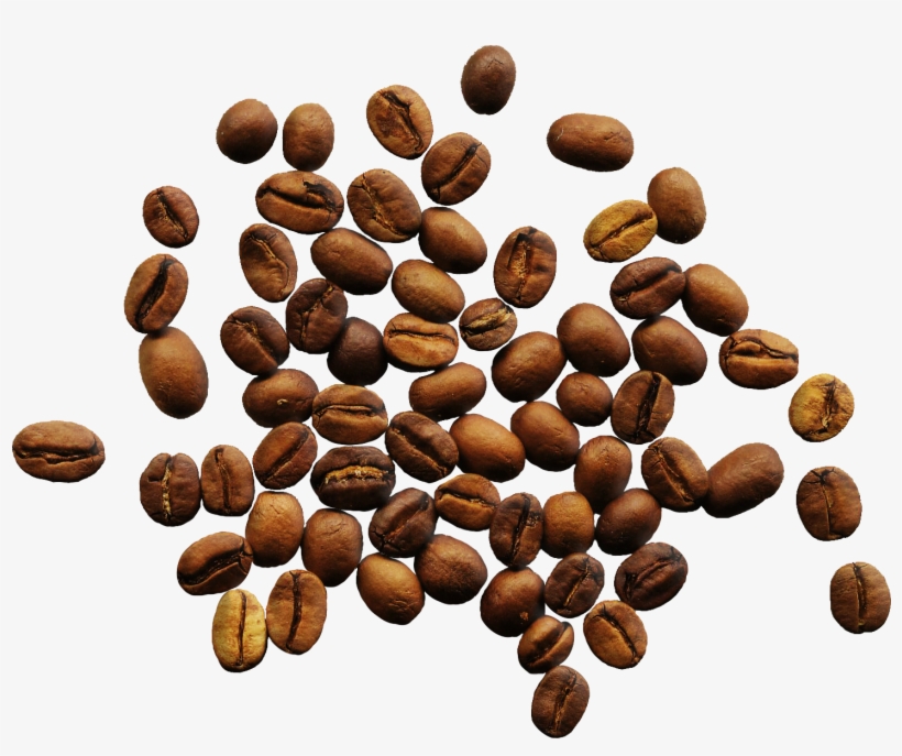 Coffee Beans Png - Coffee Vs Tea Infographic, transparent png download