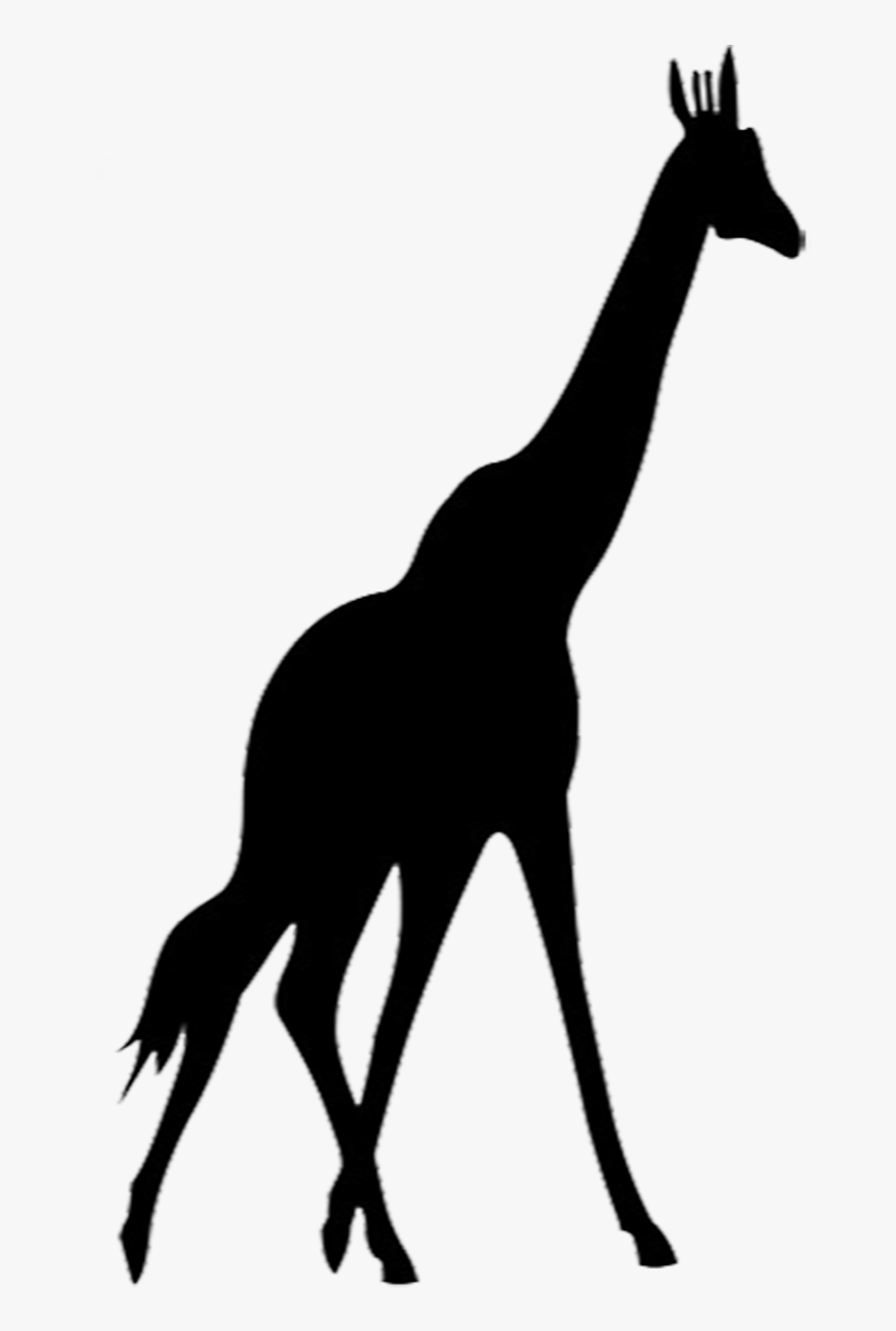 Giraffe Silhouette Png Clip Freeuse Download - Silhouette Giraffe Png, transparent png download
