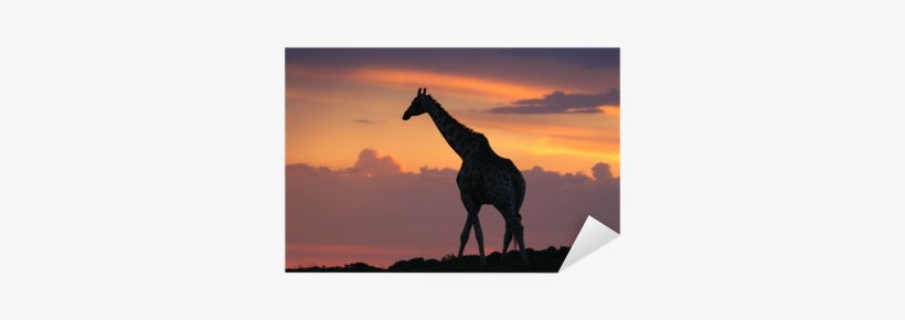 Giraffe Silhouette Walking On The Horizon At Sunset - Giraffe, transparent png download