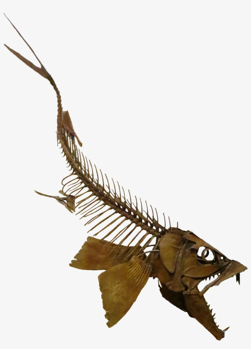 Enchodus, transparent png download