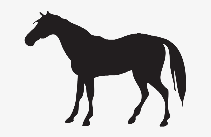 Horse Icon Png - Horse And Cow Silhouette, transparent png download
