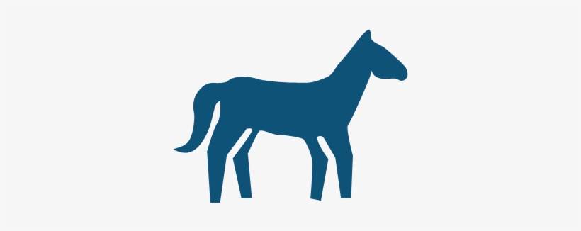 By Admin - Horse, transparent png download