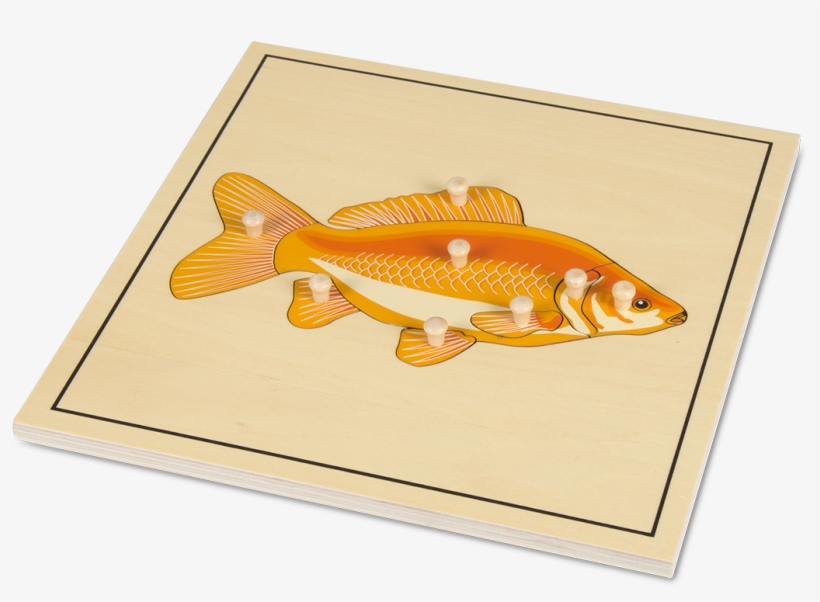 Fish Skeleton Puzzle - Montessori Puzzle Ryba, transparent png download