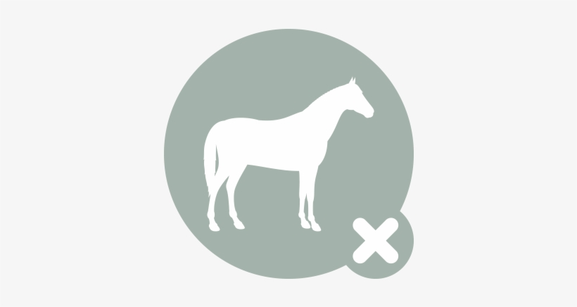 Horse Icon X - Check Hook, transparent png download