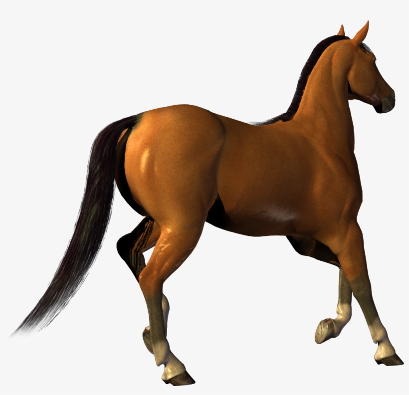 Best Free Horse Png Image - Download An Image Without Background, transparent png download