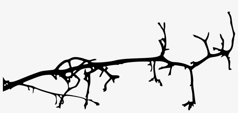 Free Download - Tree, transparent png download