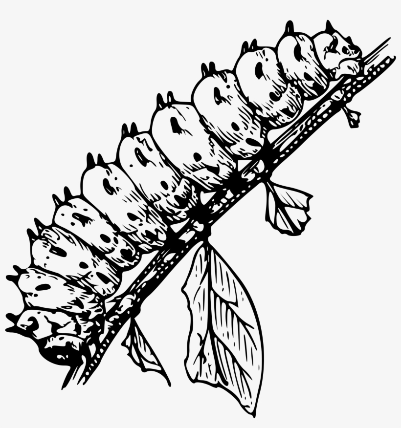 This Free Icons Png Design Of Caterpillar 3, transparent png download