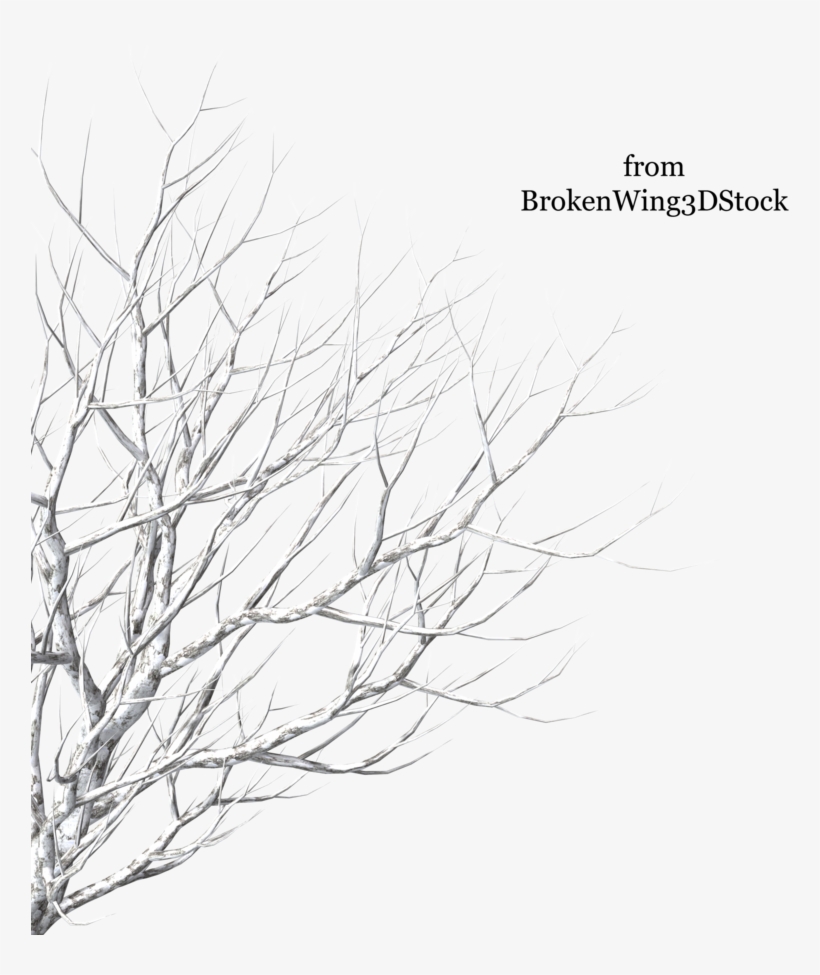 Cut Out Tree Winter Png, transparent png download