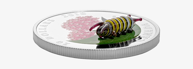 Pure Silver Coin - Coin, transparent png download