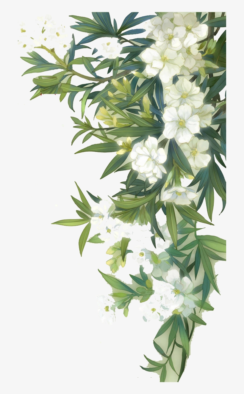 Kanha-flower - Flowers And Leaves Png, transparent png download