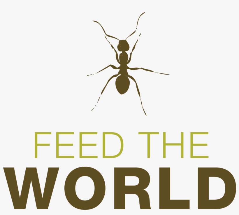 Insects To Feed The Worldhttp - Change Start From You, transparent png download