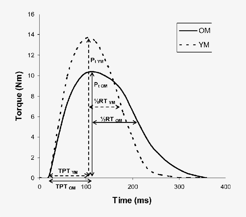 A Typical Electrically Stimulated Twitch Recording - Diagram, transparent png download