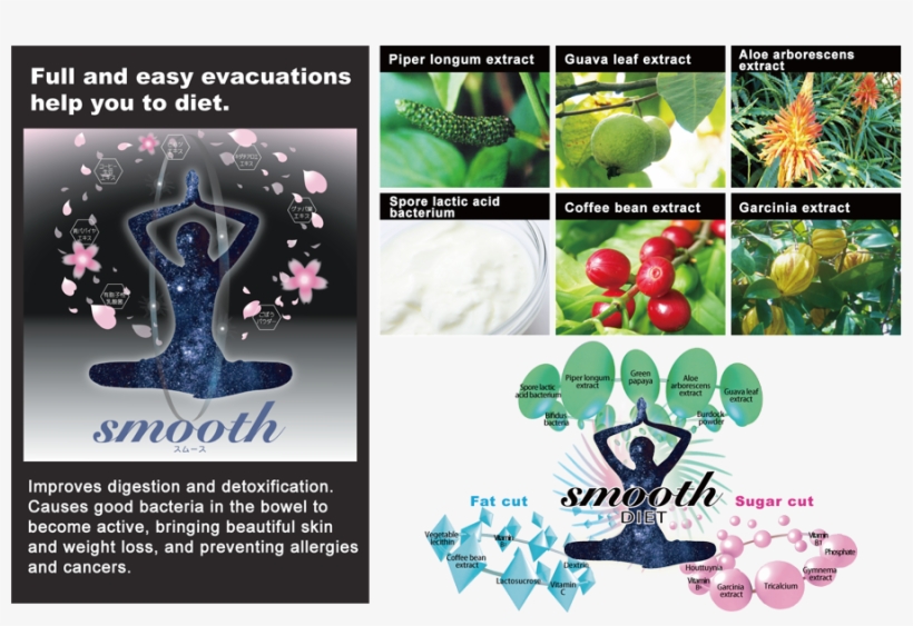 Smooth Healthy Diet With Improving Bowel Movement - Coffee Tree, transparent png download