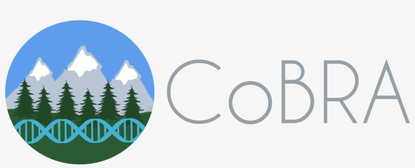 Cobra-igenlogo2 - Privacy, transparent png download