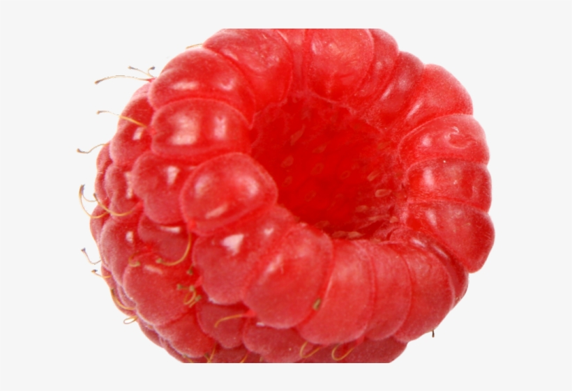 Brain Clipart Transparent Background - Cherry Berry, transparent png download