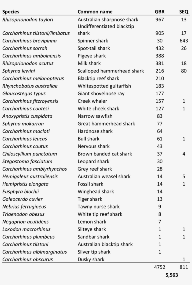 Numbers And Species Diversity Of Sharks Tagged By The - Fabric Names List, transparent png download