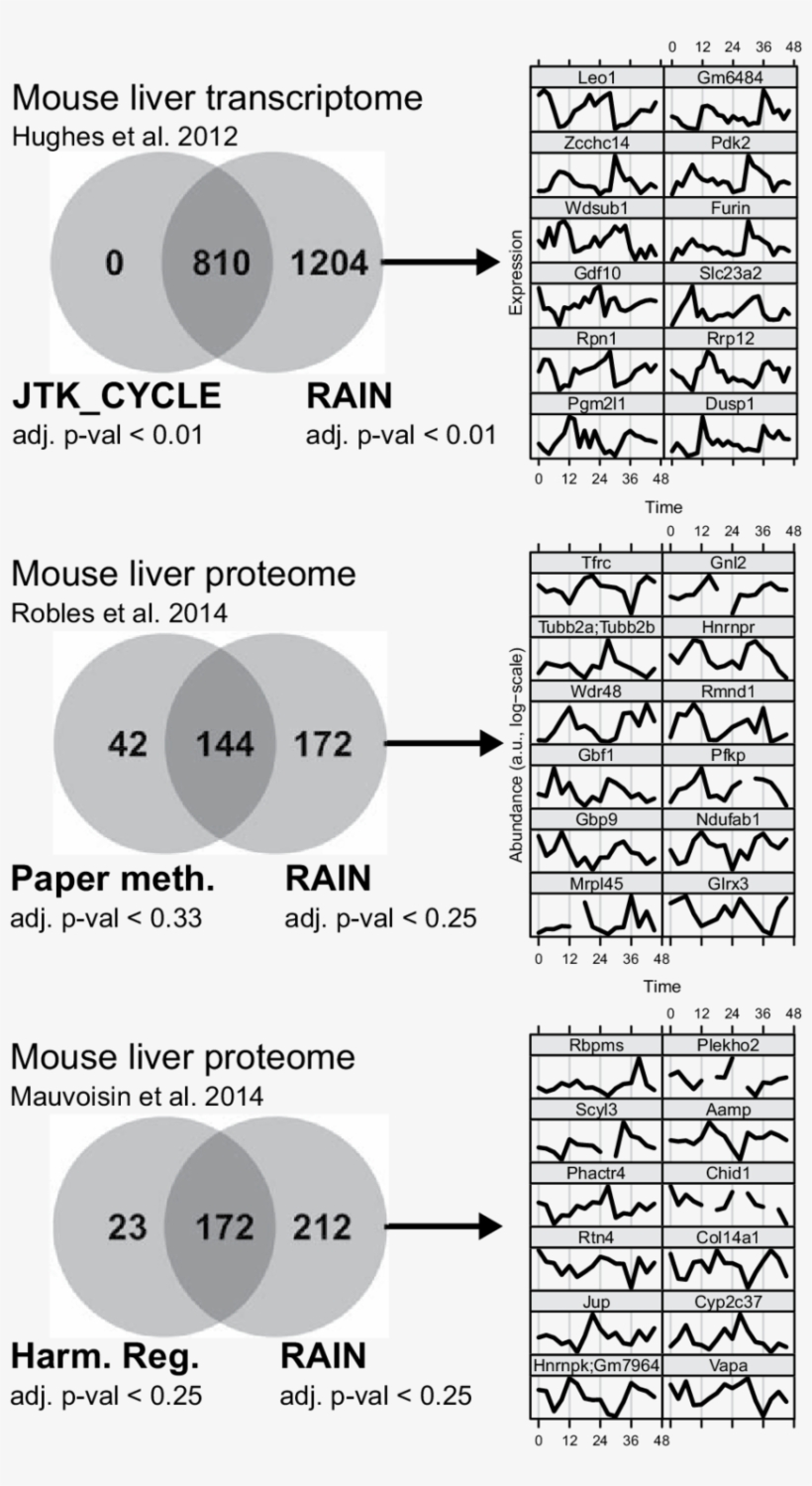 With An Fdr Of - Diagram, transparent png download