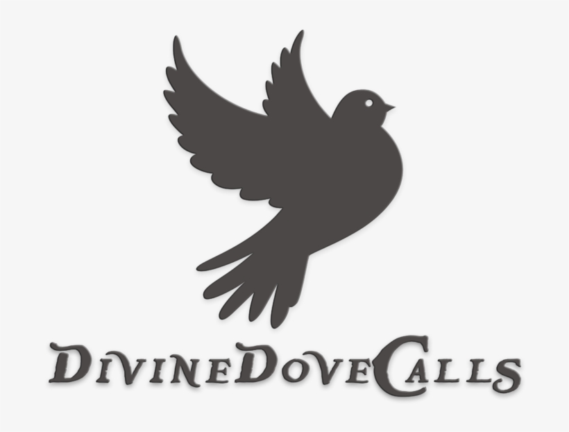 Ascending To A Higher Calling - Crow, transparent png download