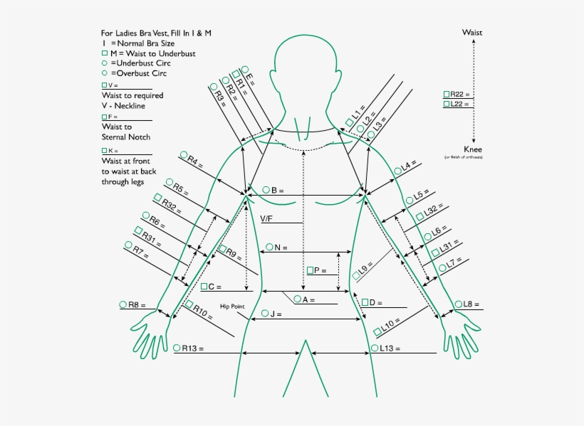 Ct Leotard 2 Arms - Diagram, transparent png download