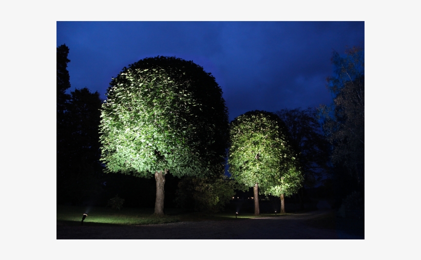 Led Lamp E27 Par38 Outdoor Spotlight - Light-emitting Diode, transparent png download