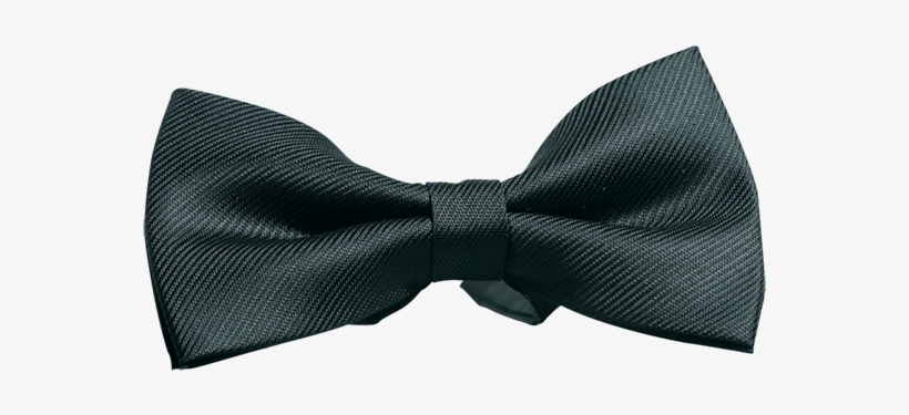 Harper's Black Bow Tie - Bow Tie, transparent png download