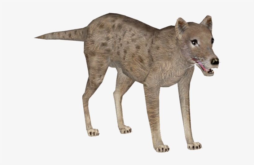 Rainforest Animals Png - Pakicetus Zt2, transparent png download