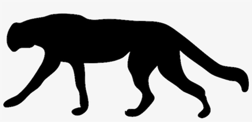 Cheetah, transparent png download