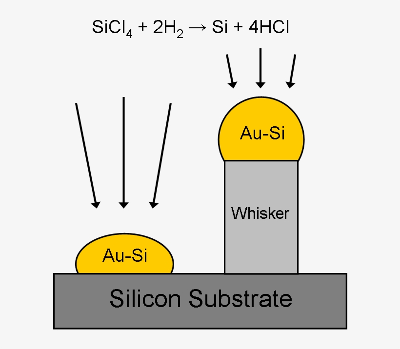 Au-si Droplet Catalyzing Whisker Growth - Vapor Liquid Solid Growth, transparent png download
